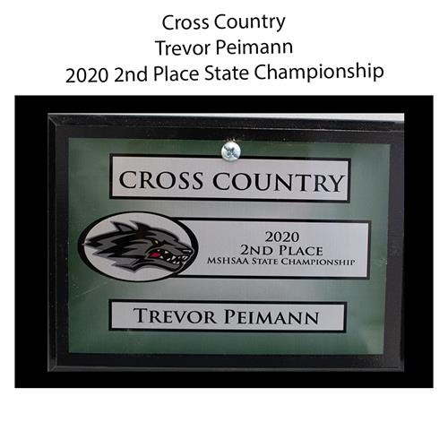 2020 Trevor Peimann 2nd Place State 