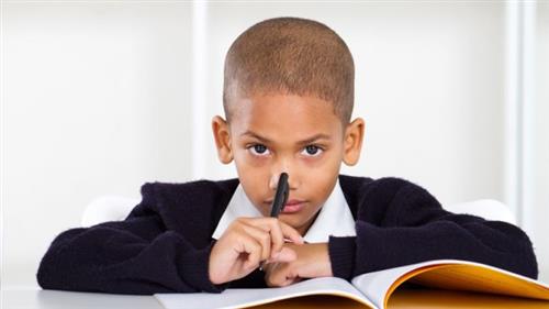 Student Studying 